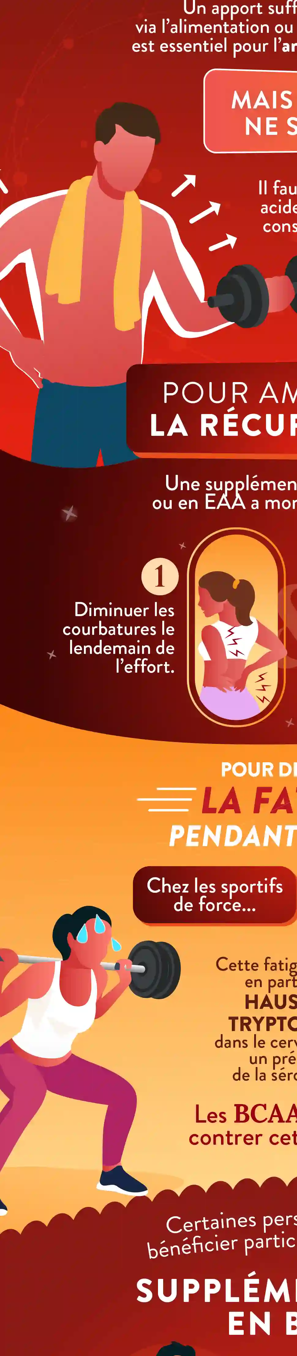 Infographie Droite