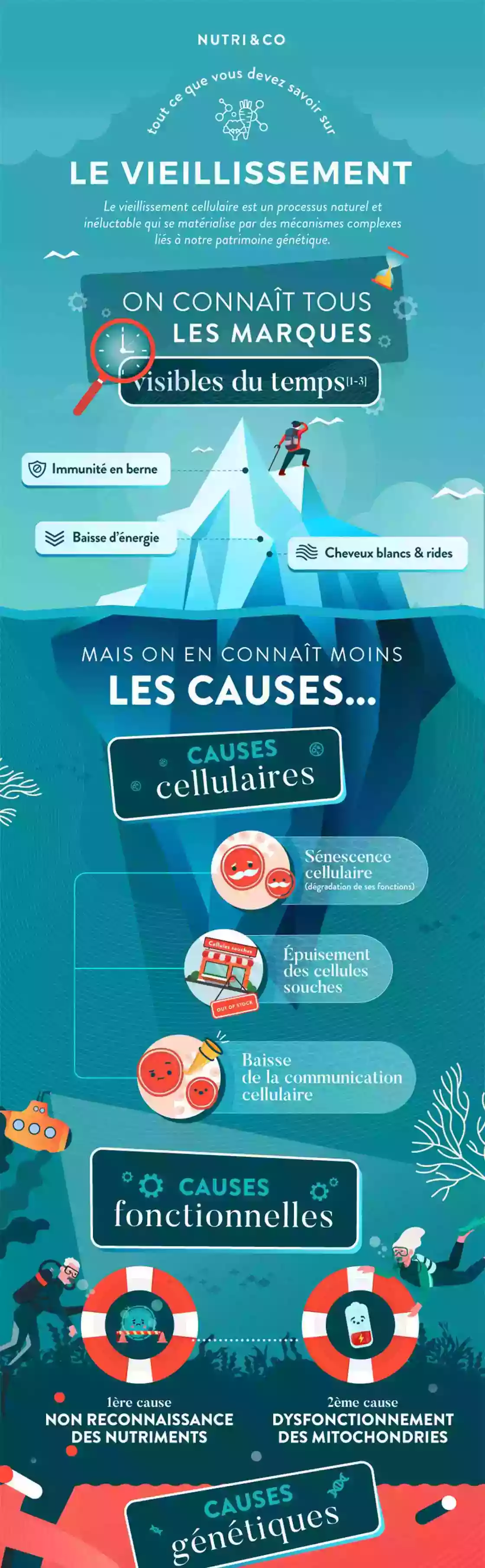 Infographie Centre