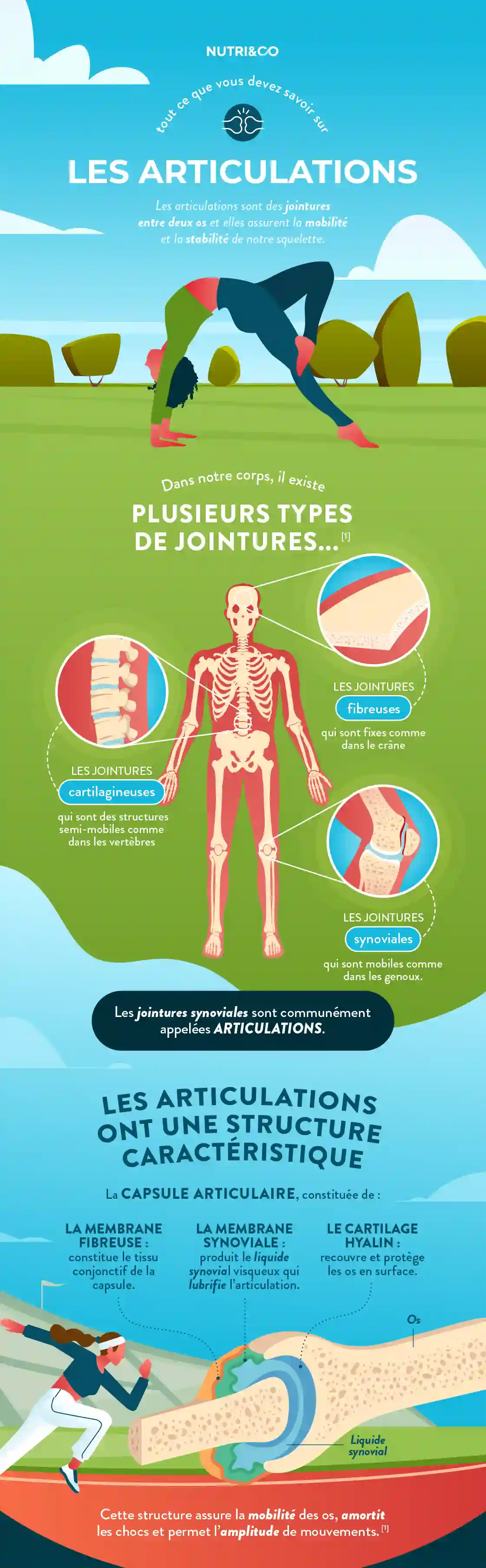 Infographie Centre