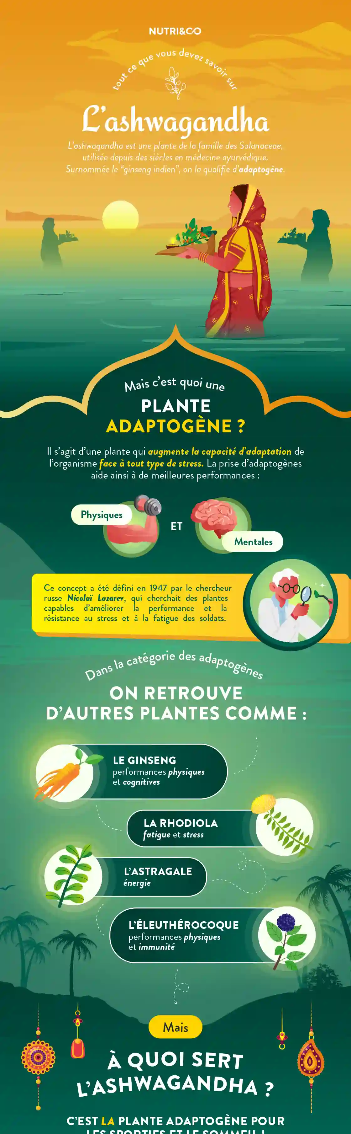 Infographie Centre