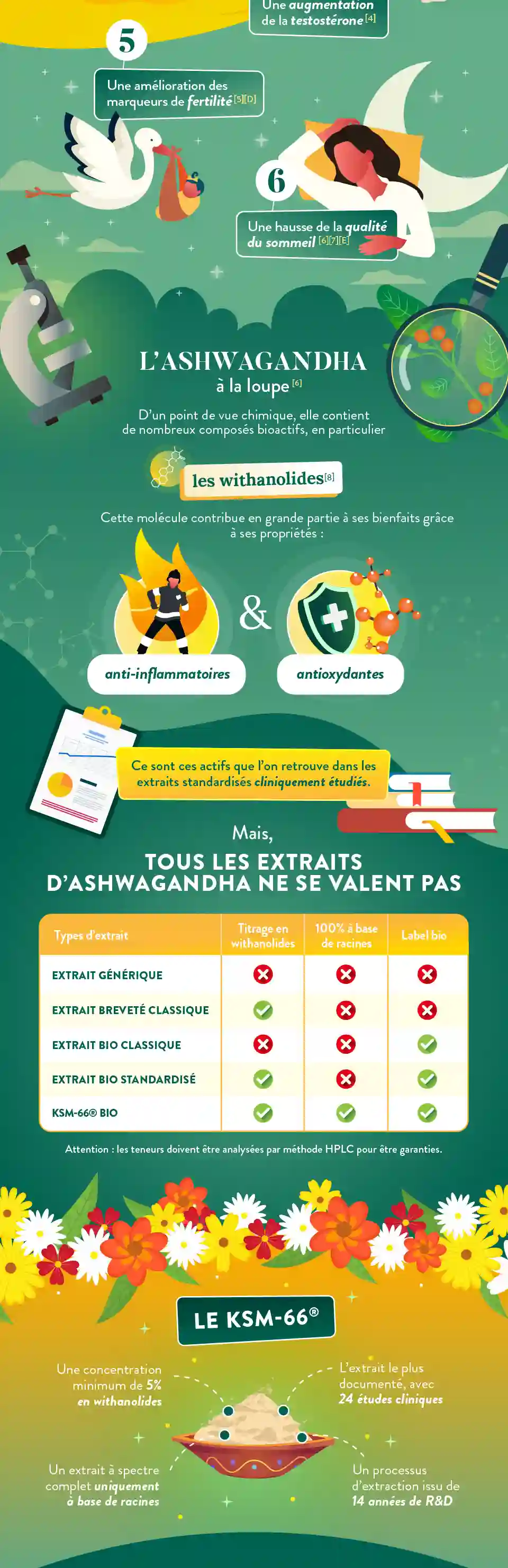 Infographie Gauche
