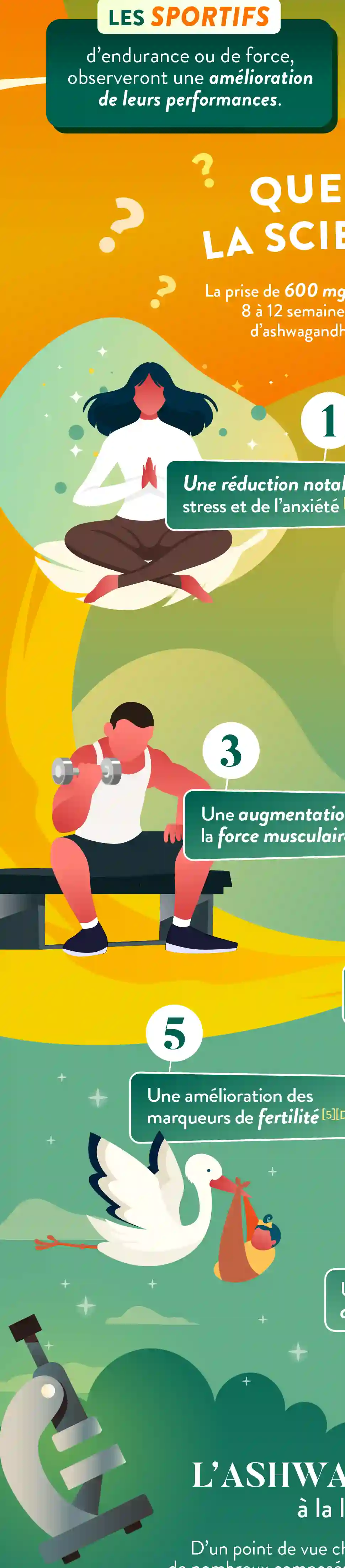 Infographie Droite