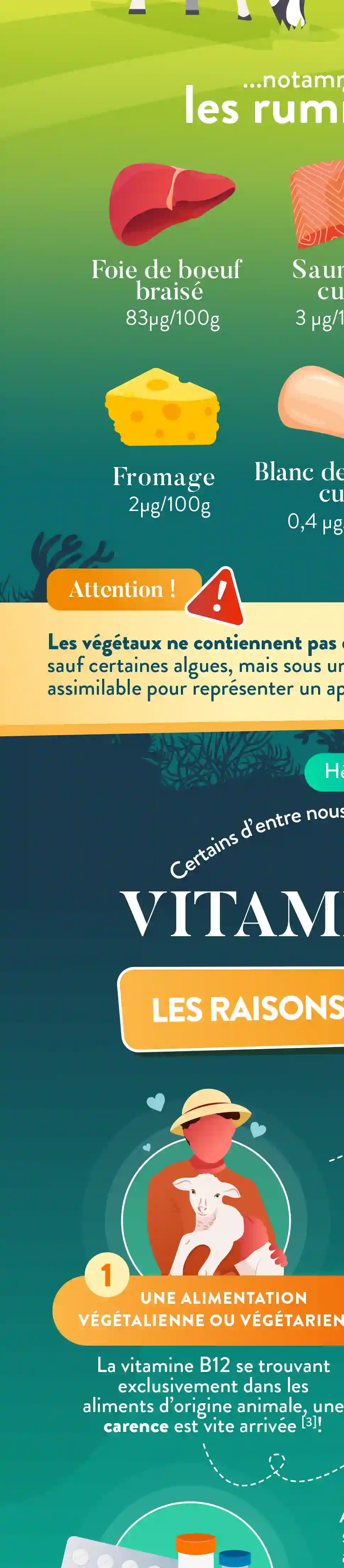 Infographie Droite