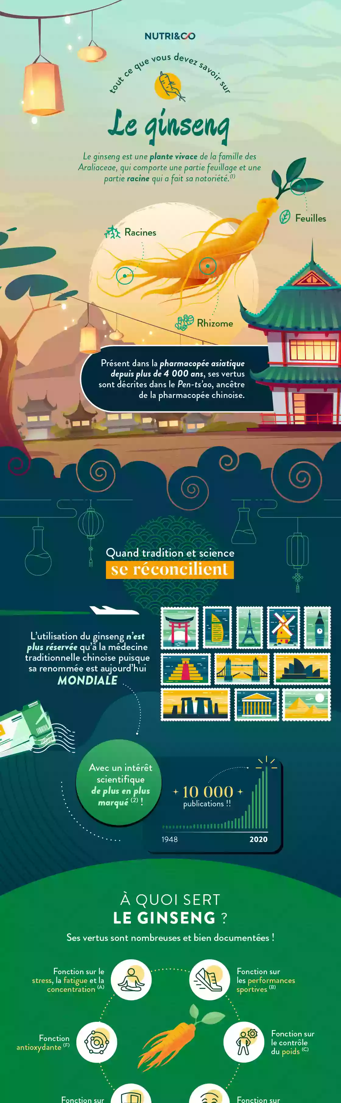 Infographie Centre