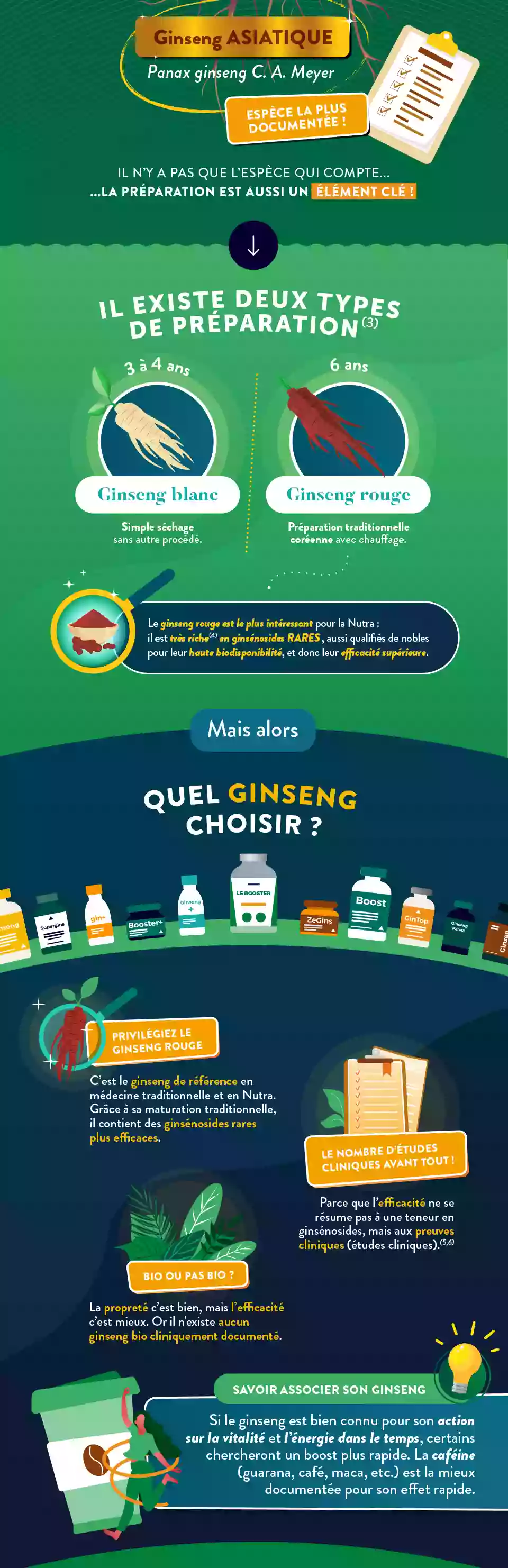 Infographie Gauche