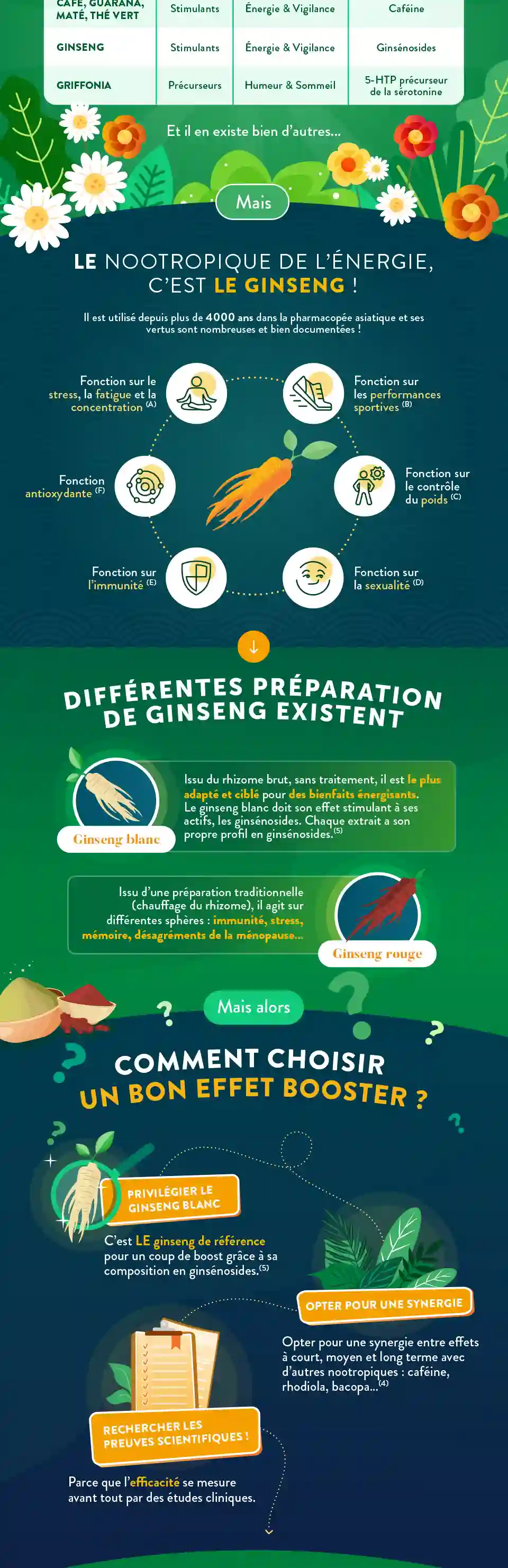 Infographie Gauche