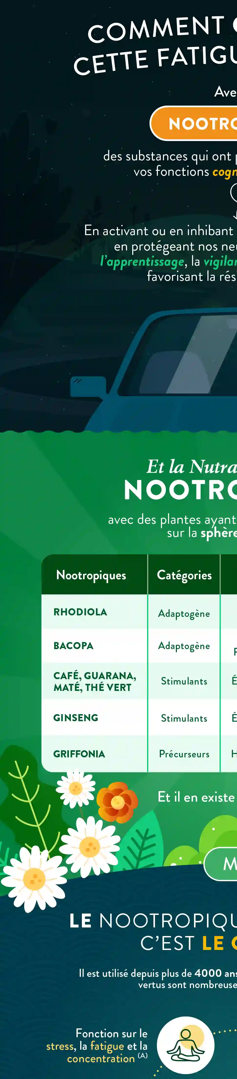 Infographie Droite