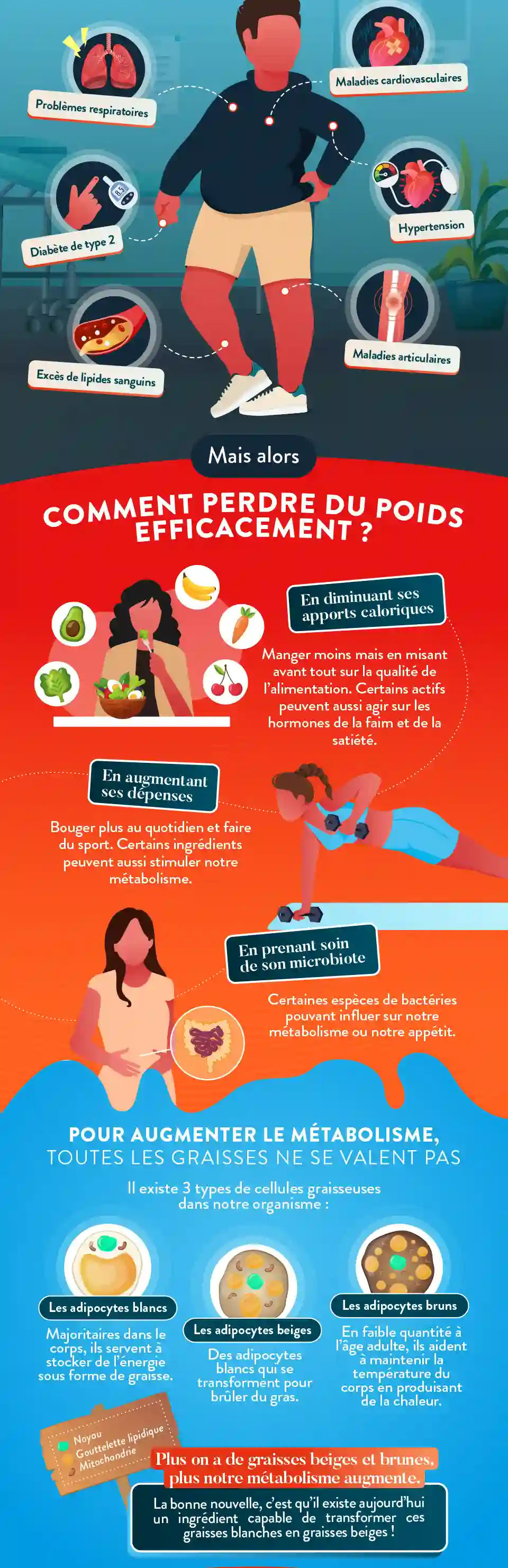 Infographie Gauche