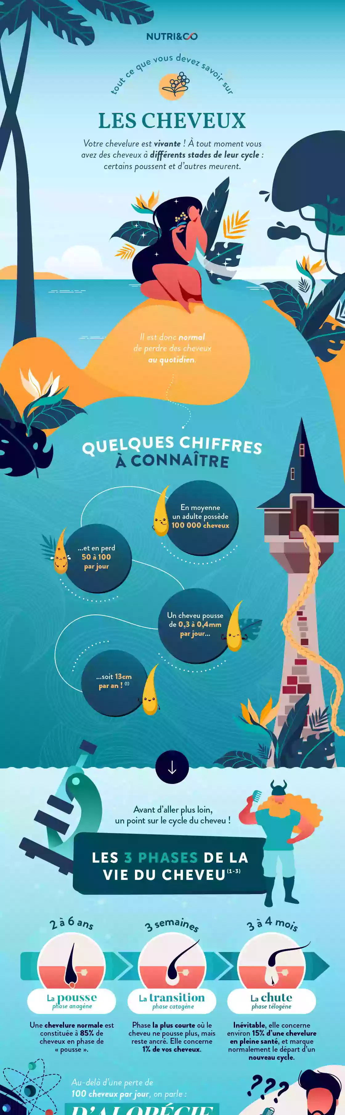 Infographie Centre