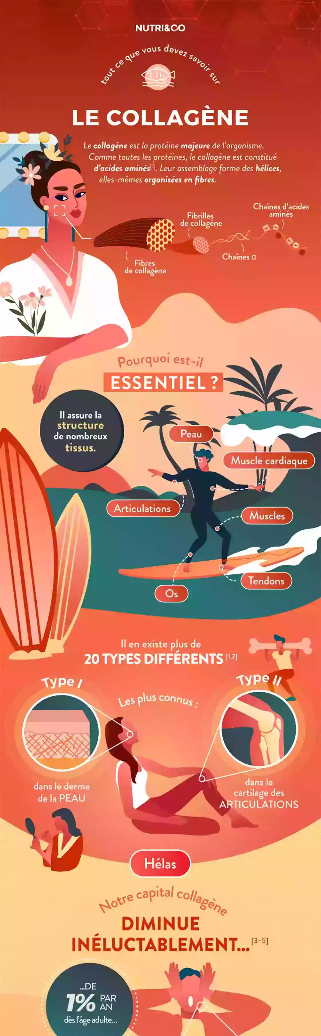 Infographie Centre