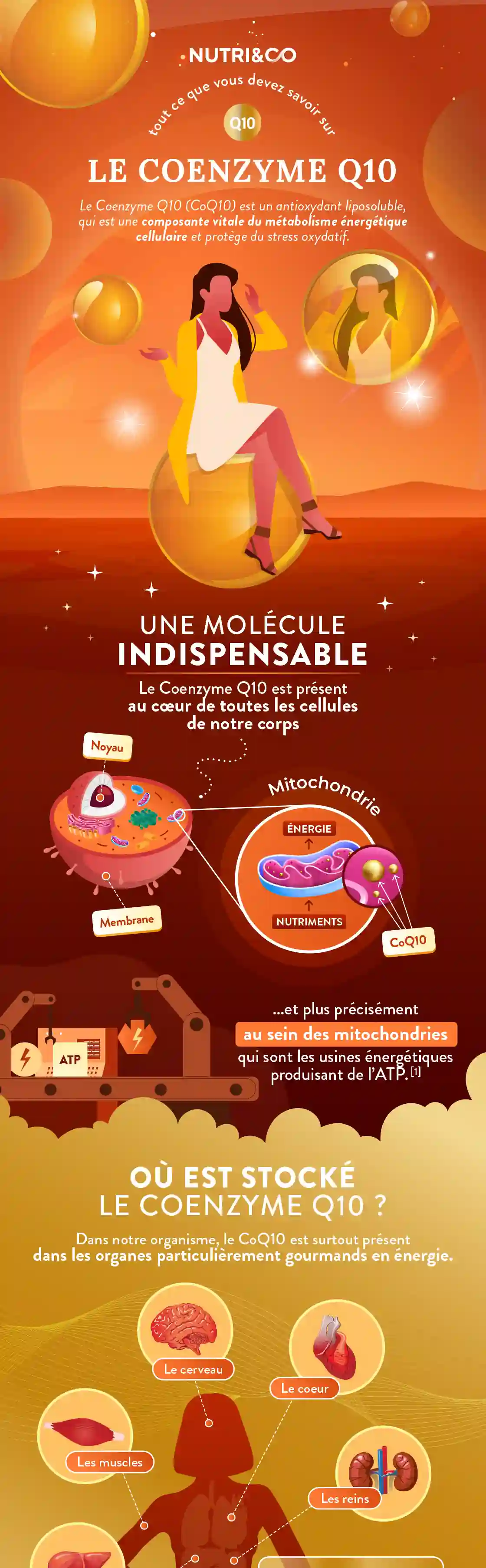 Infographie Centre
