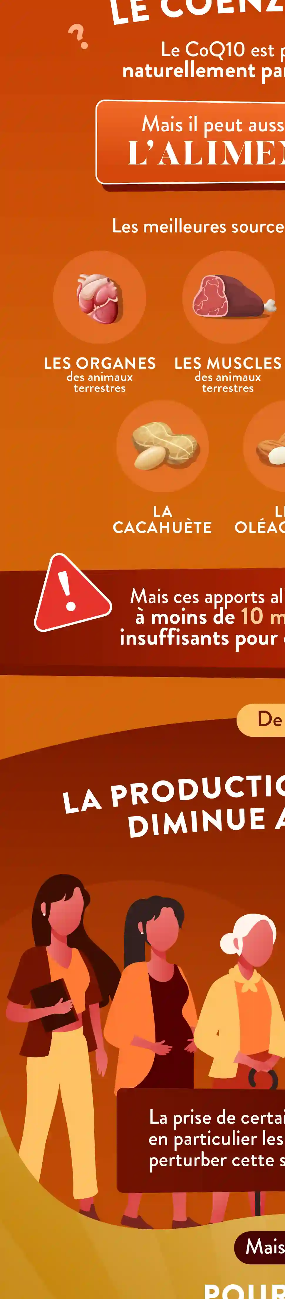 Infographie Droite