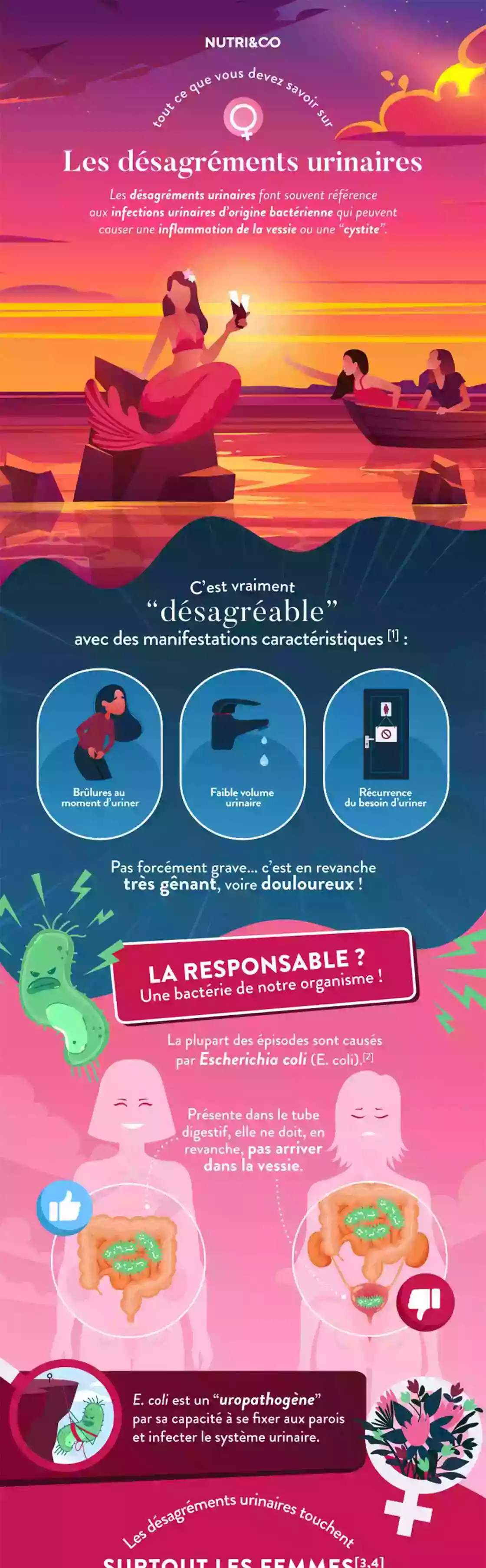 Infographie Centre