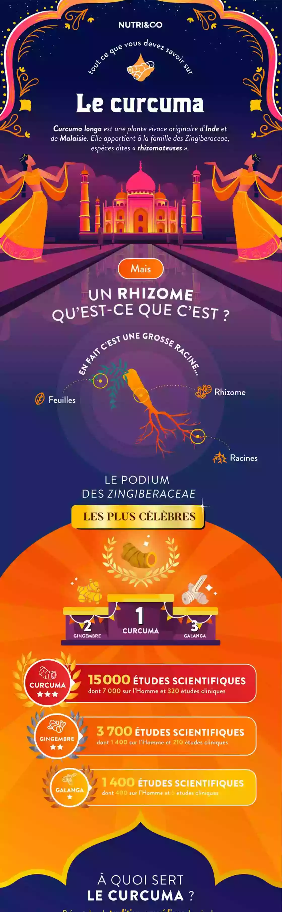 Infographie Centre