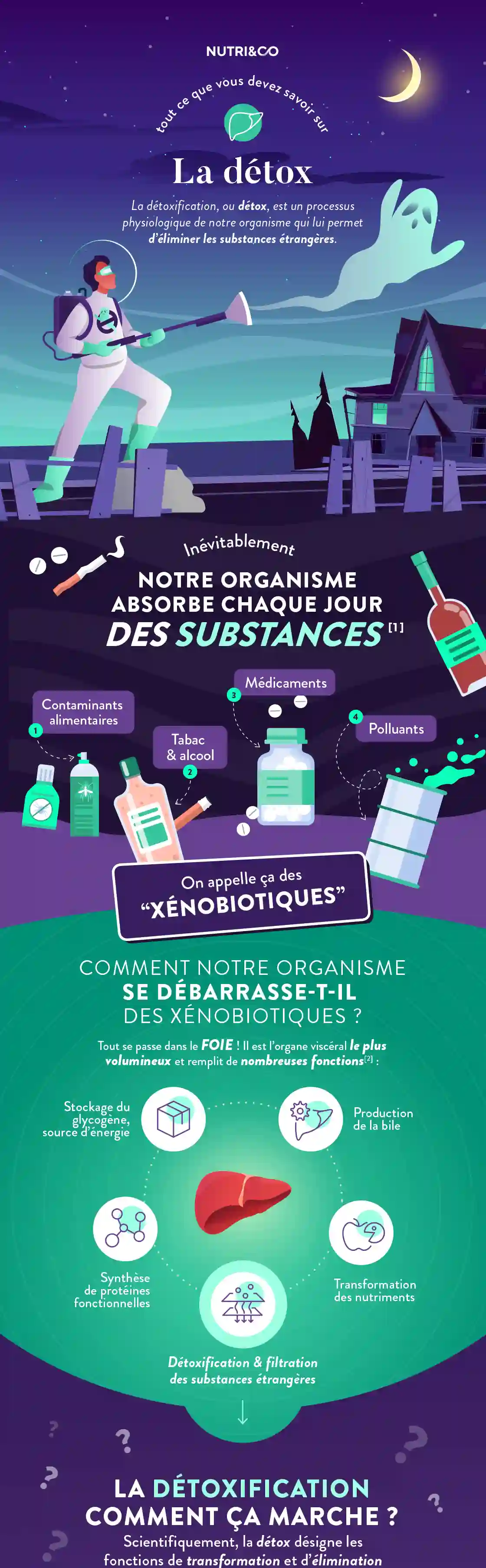 Infographie Centre