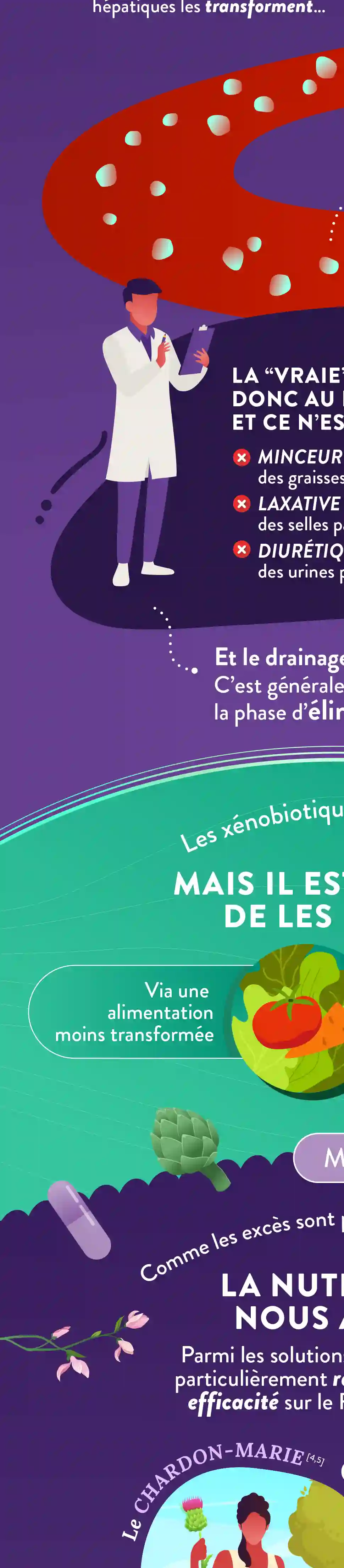 Infographie Droite