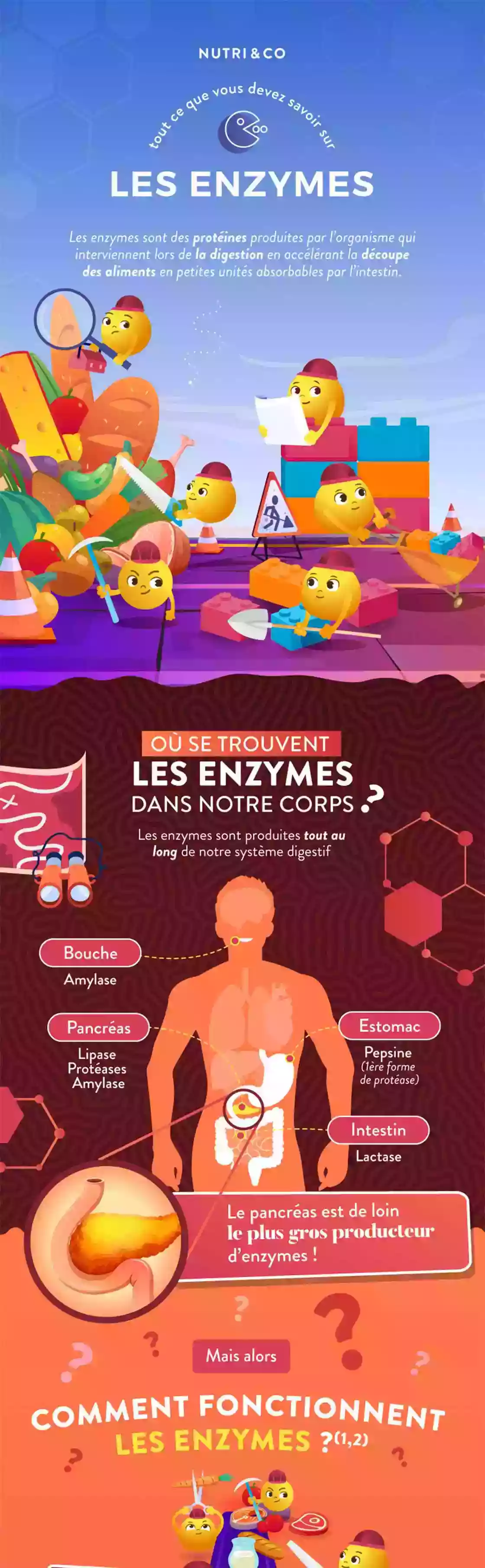 Infographie Centre