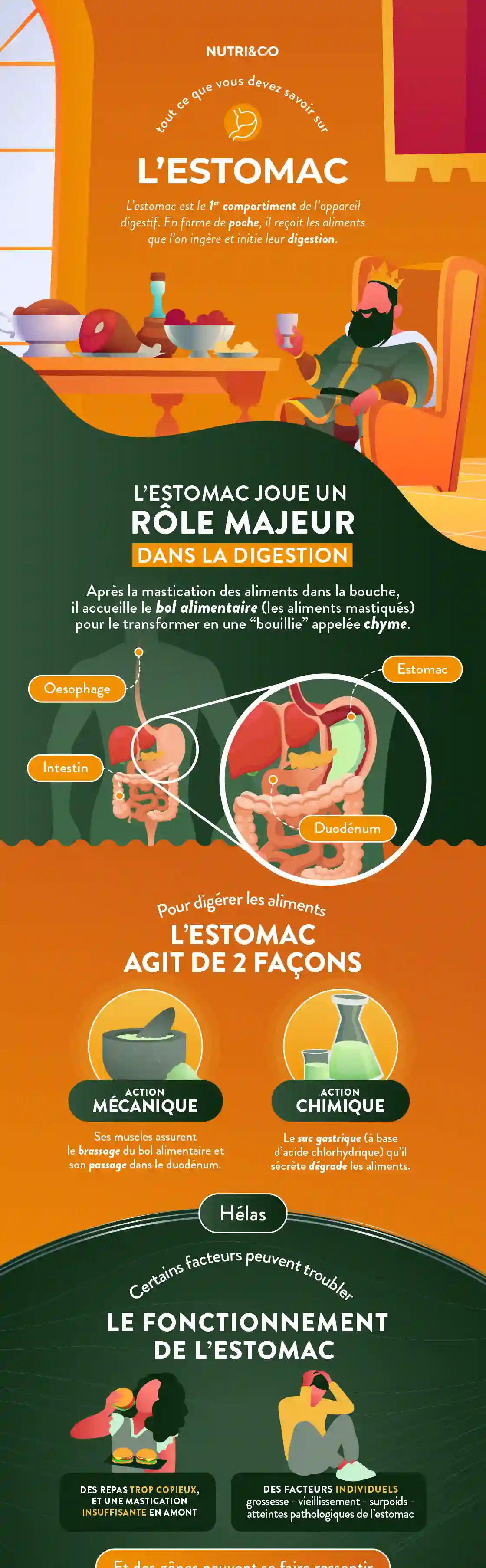 Infographie Centre