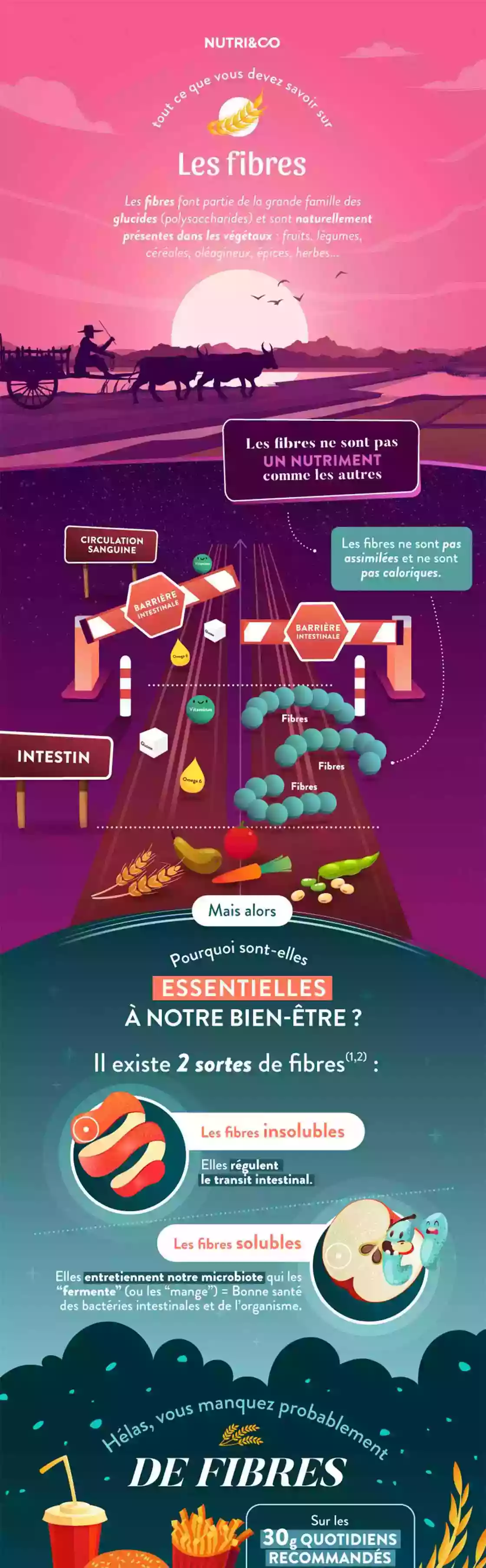 Infographie Centre