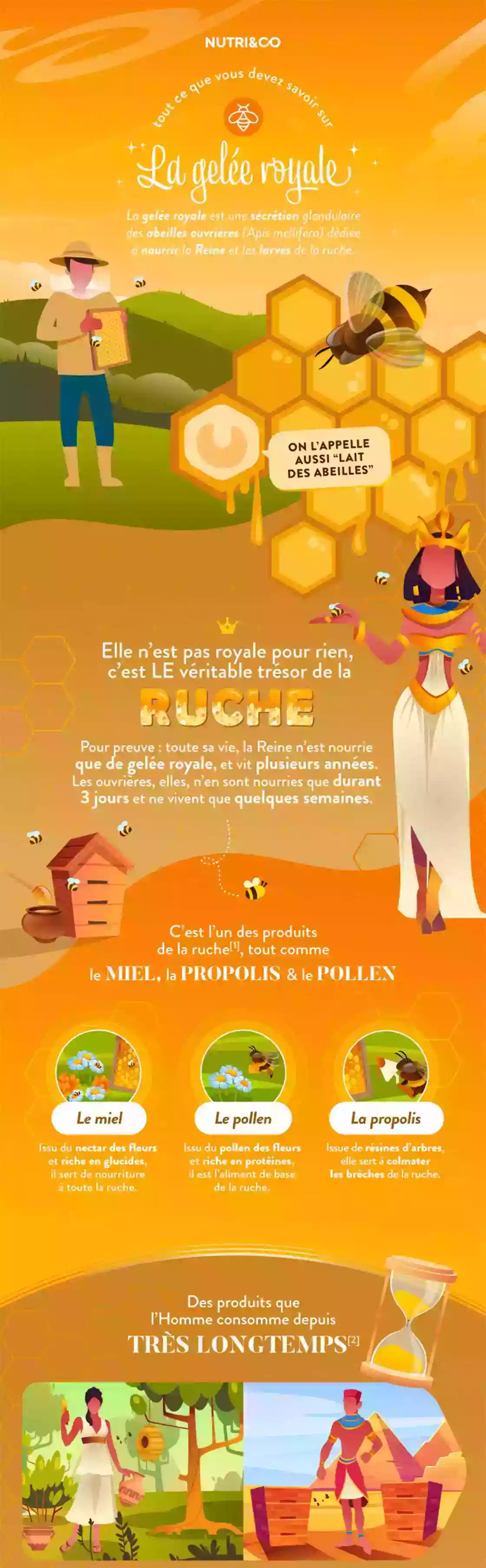 Infographie Centre