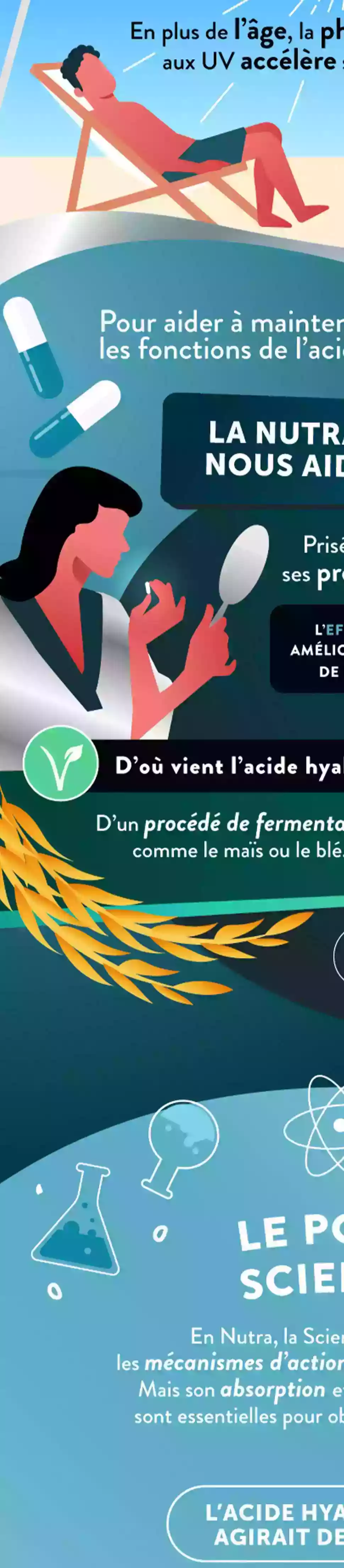 Infographie Droite