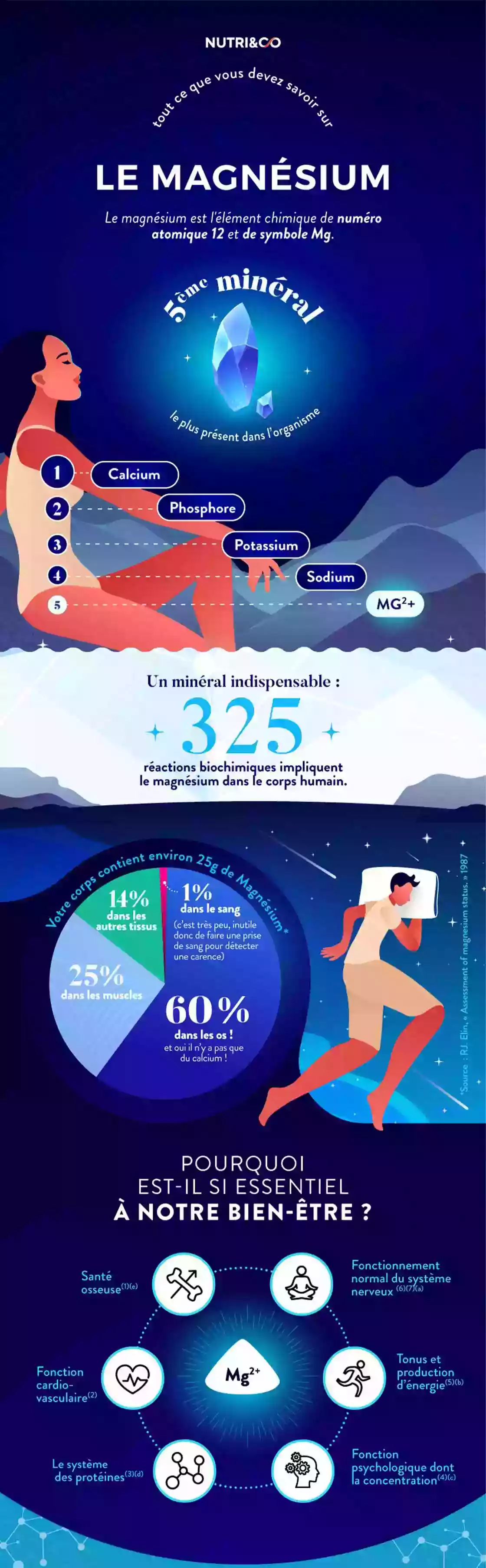 Infographie Centre