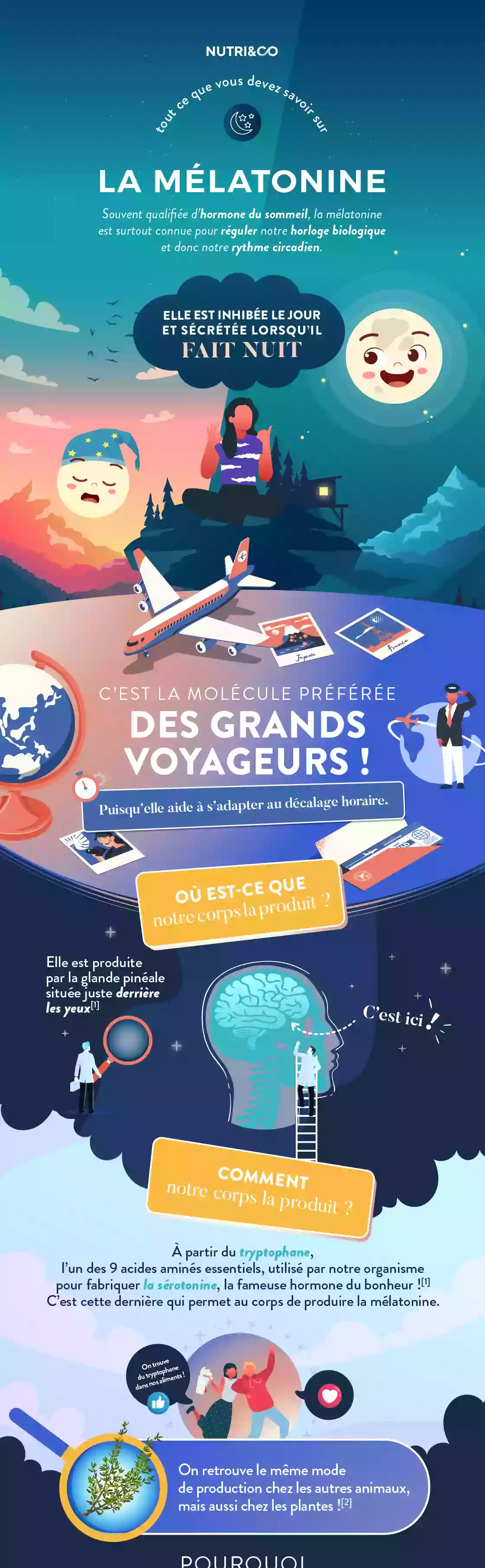 Infographie Centre
