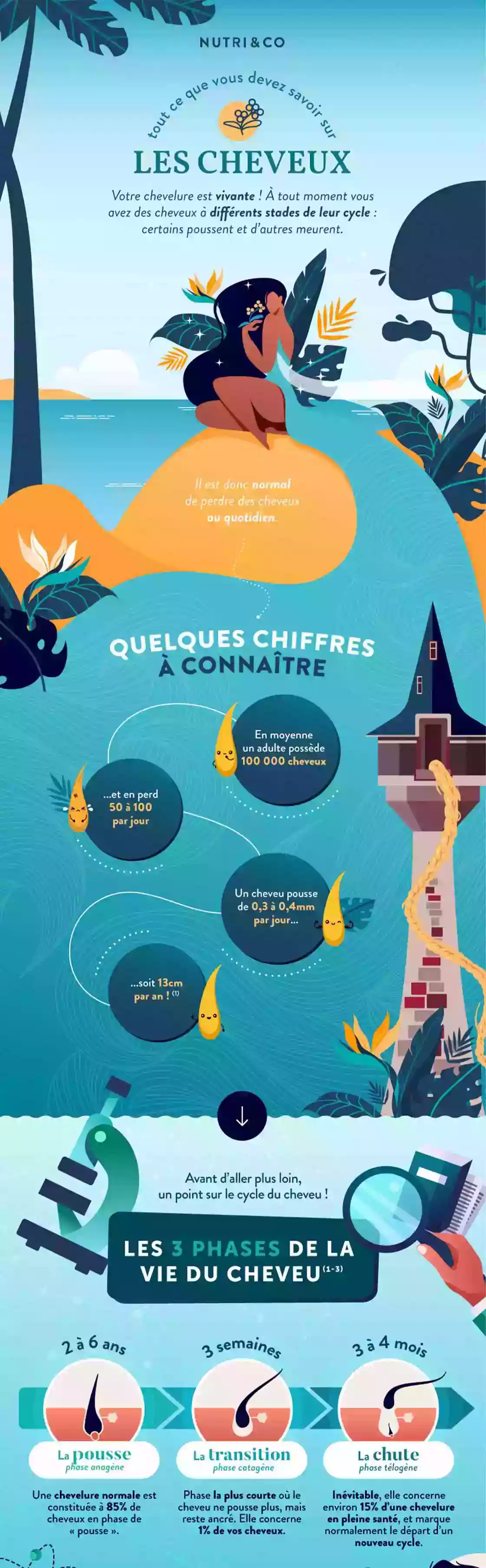 Infographie Centre