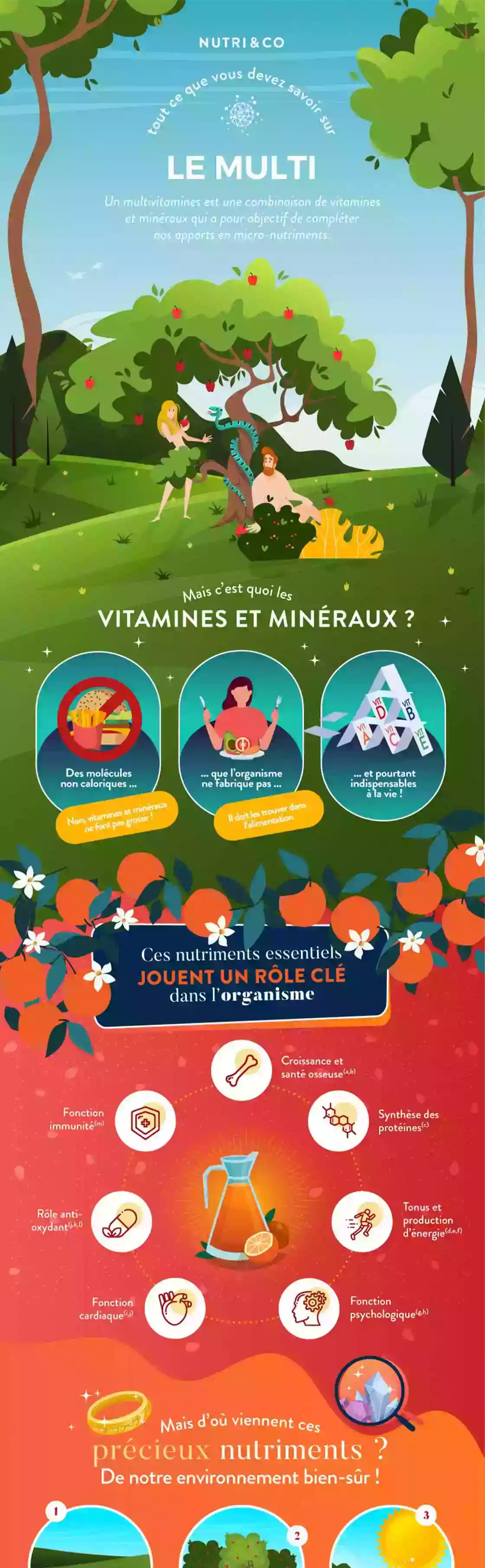 Infographie Centre