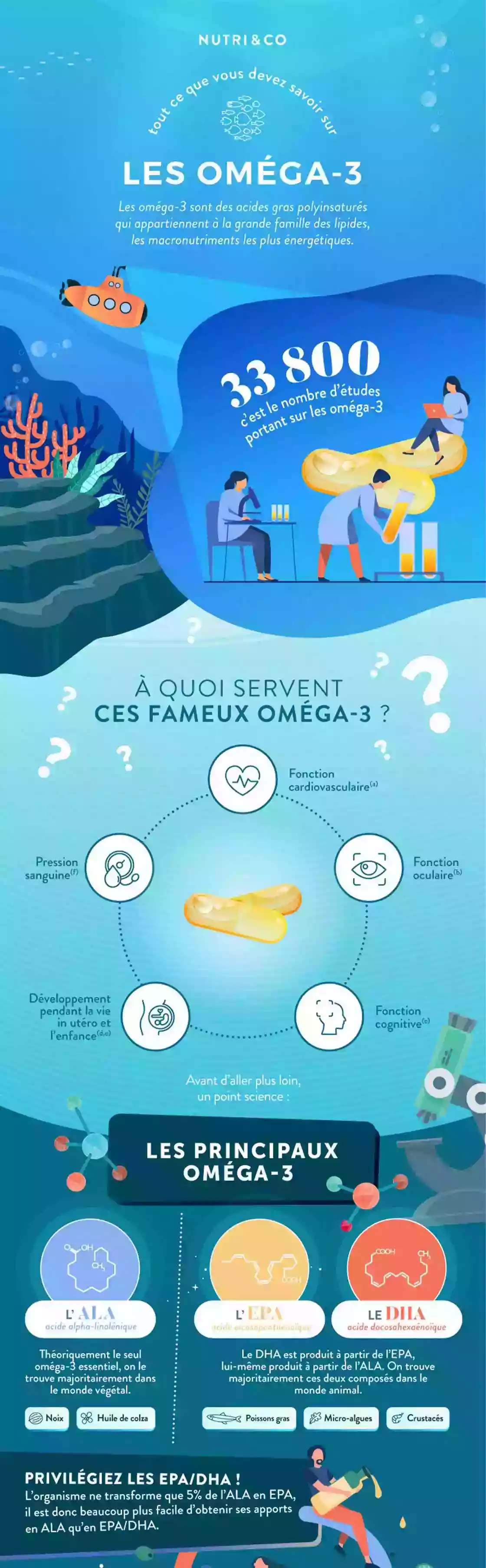Infographie Centre