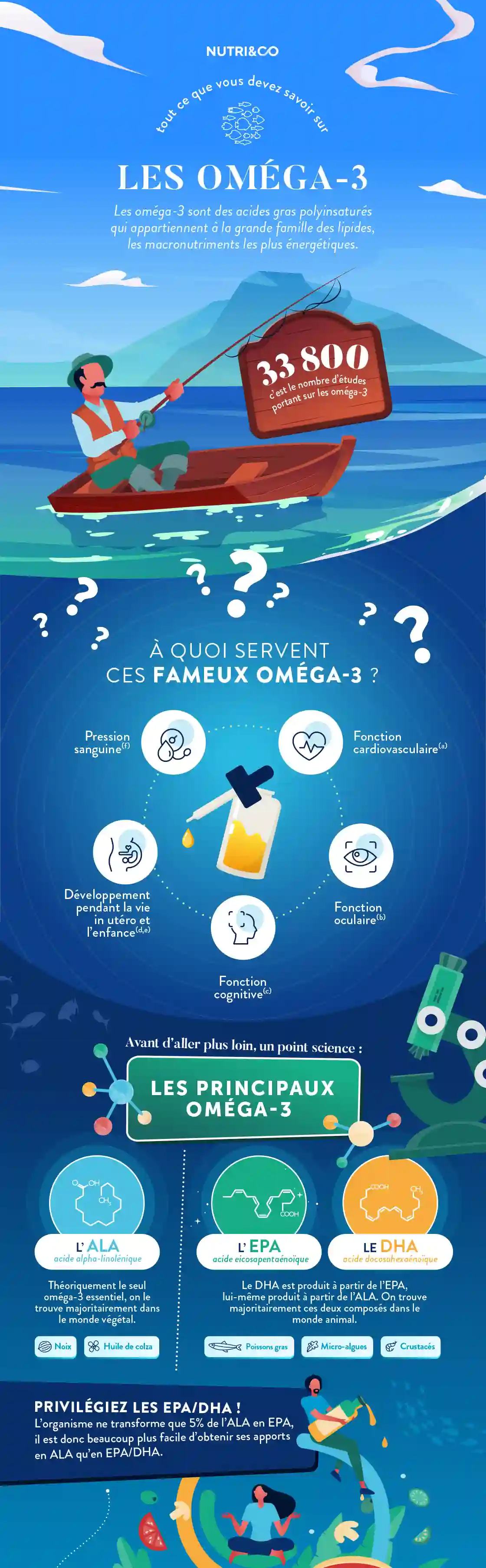 Infographie Centre