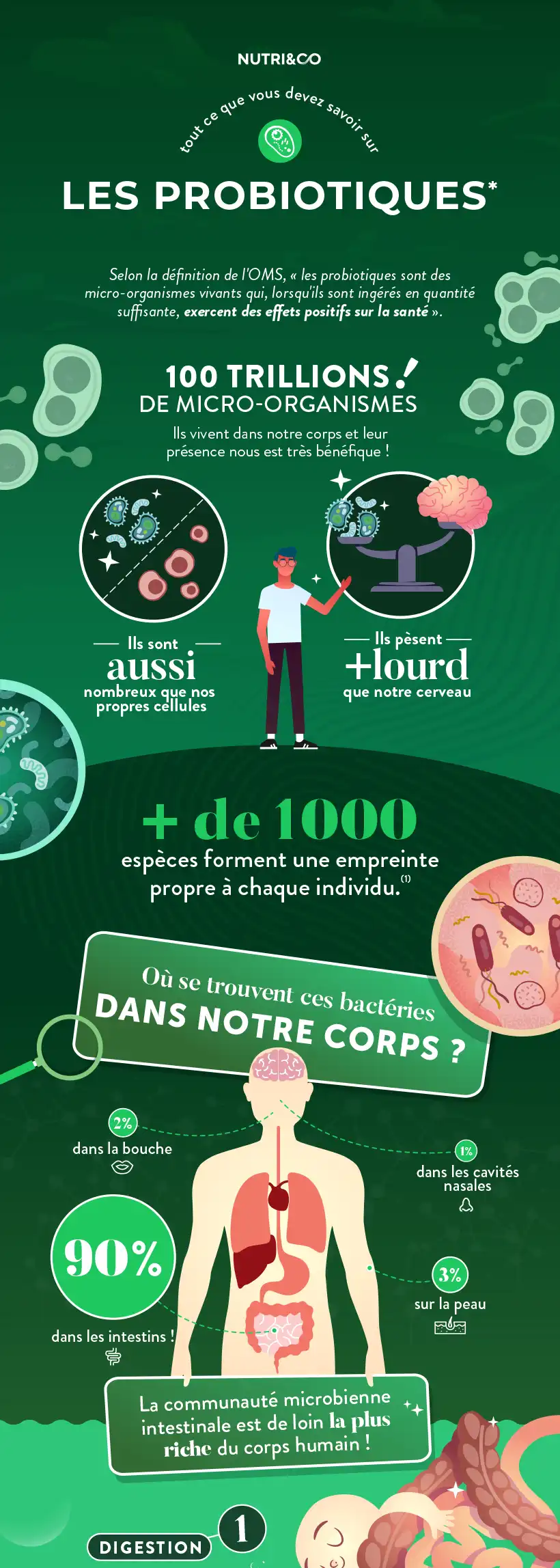 Combien De Temps Mettent Les Probiotiques Agissent Probiotiques et prébiotique en gélule : bienfaits, avis et achat