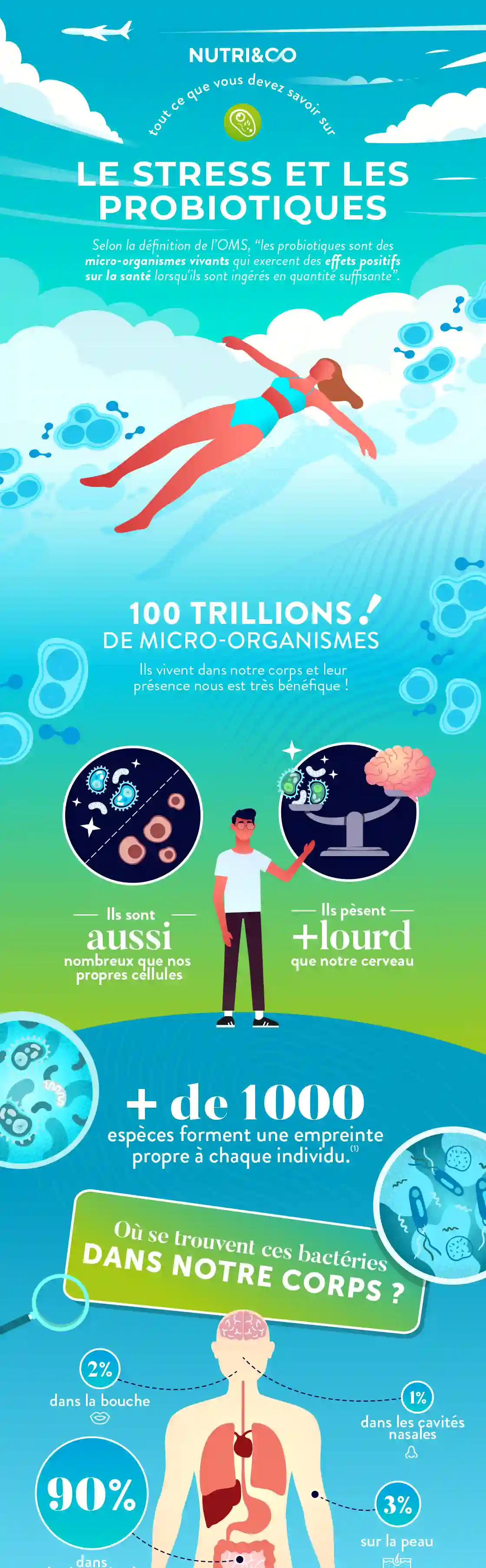 Infographie Centre