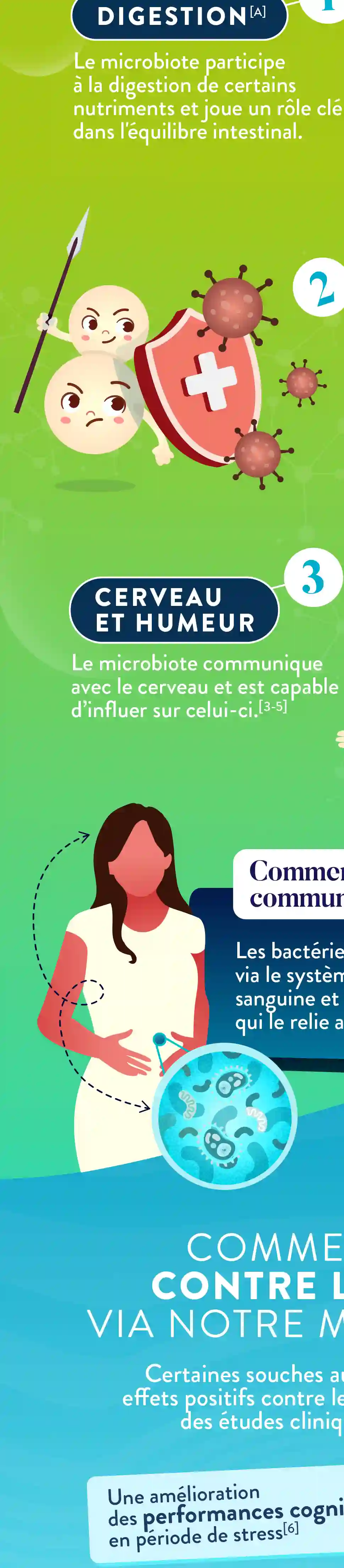 Infographie Droite
