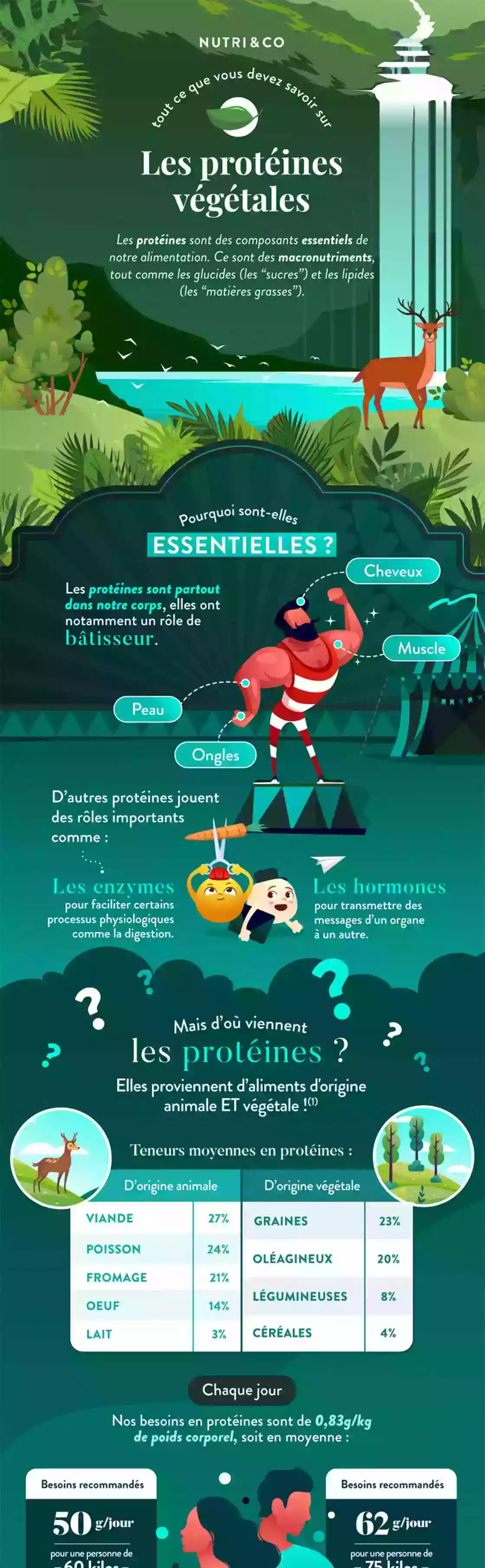 Infographie Centre
