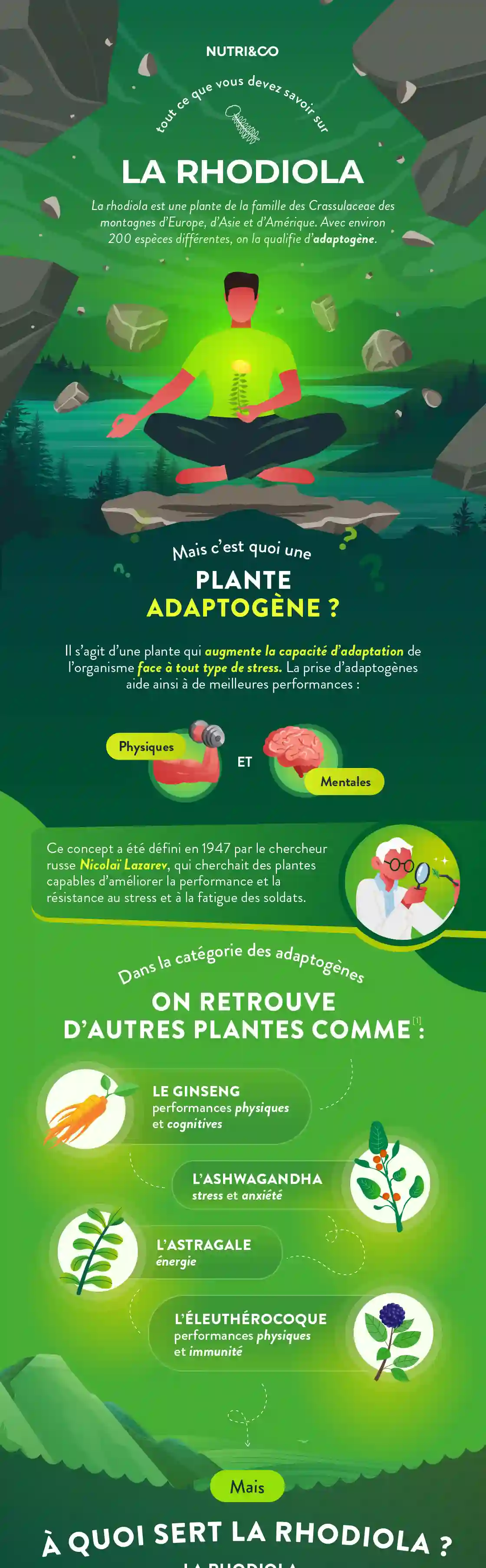 Infographie Centre