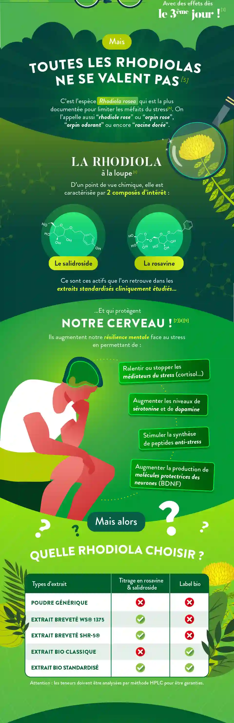 Infographie Gauche