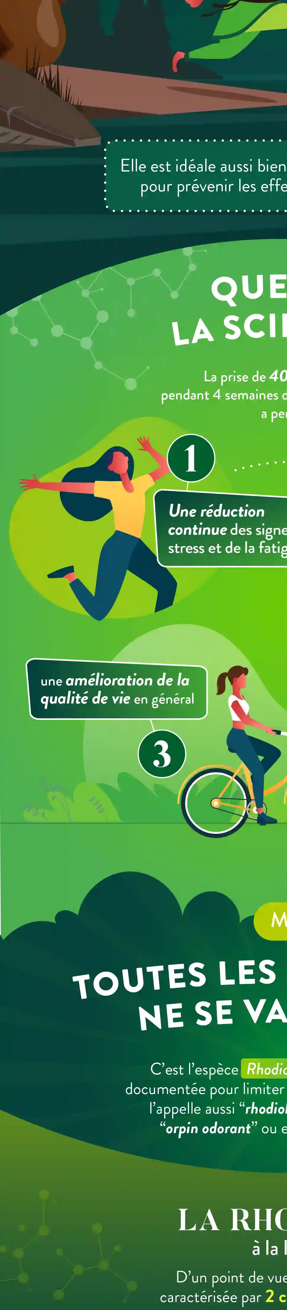 Infographie Droite