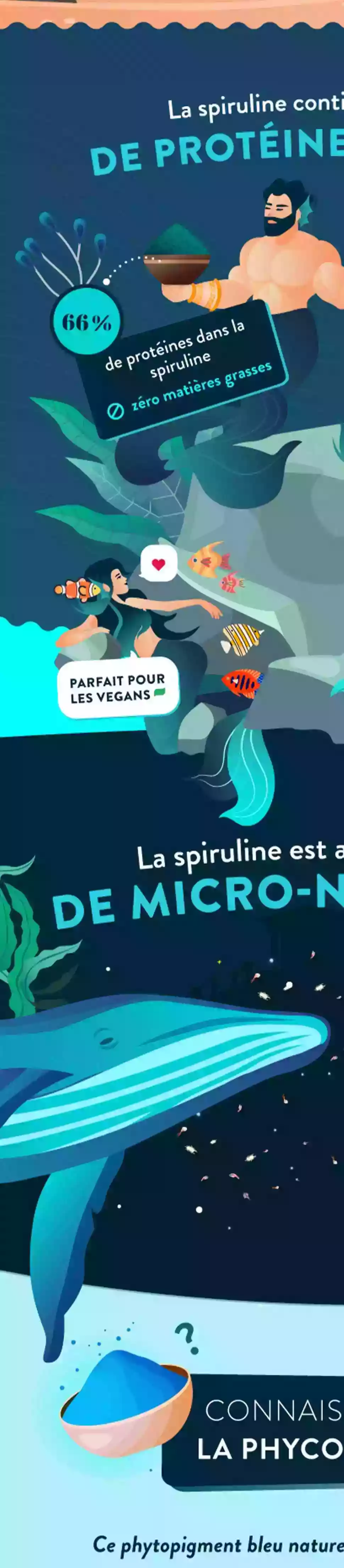 Infographie Droite