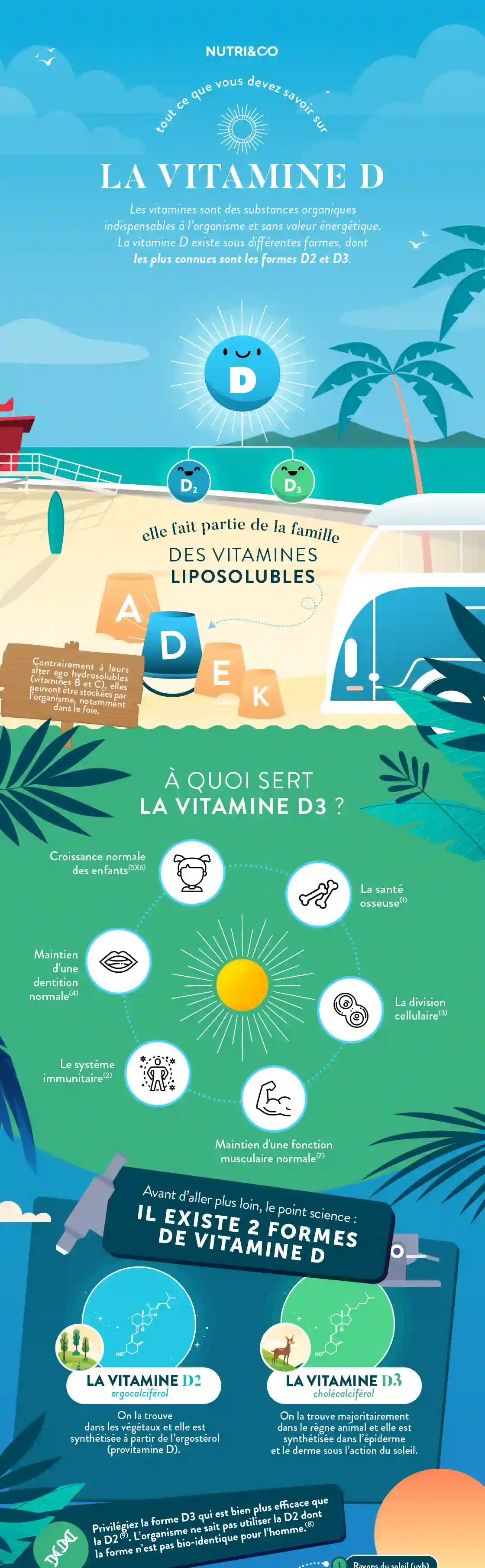 Infographie Centre