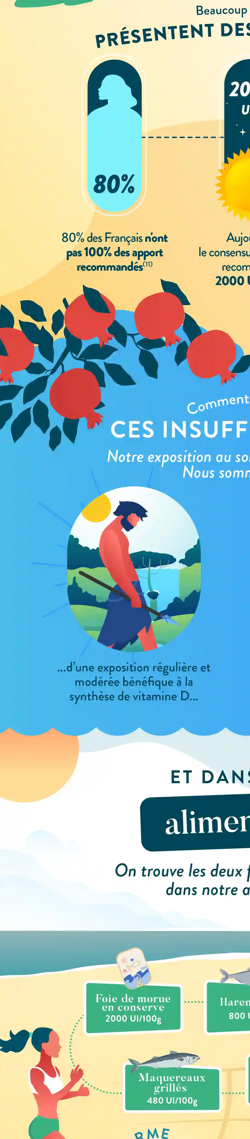 Infographie Droite
