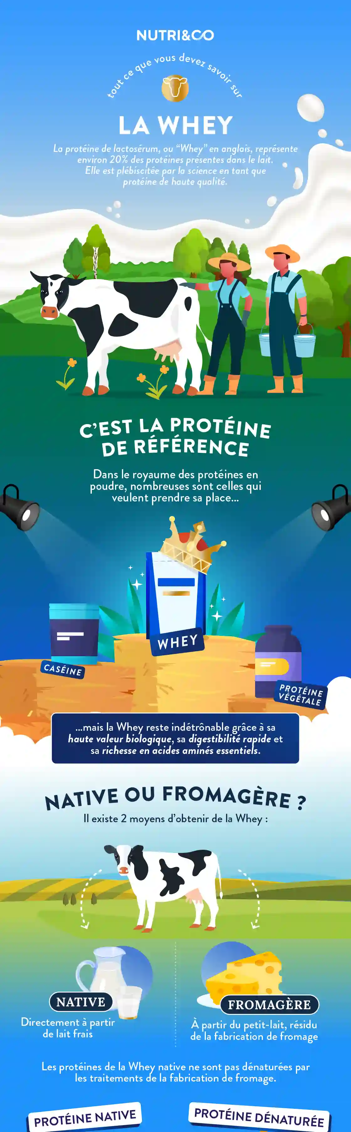 Infographie Centre