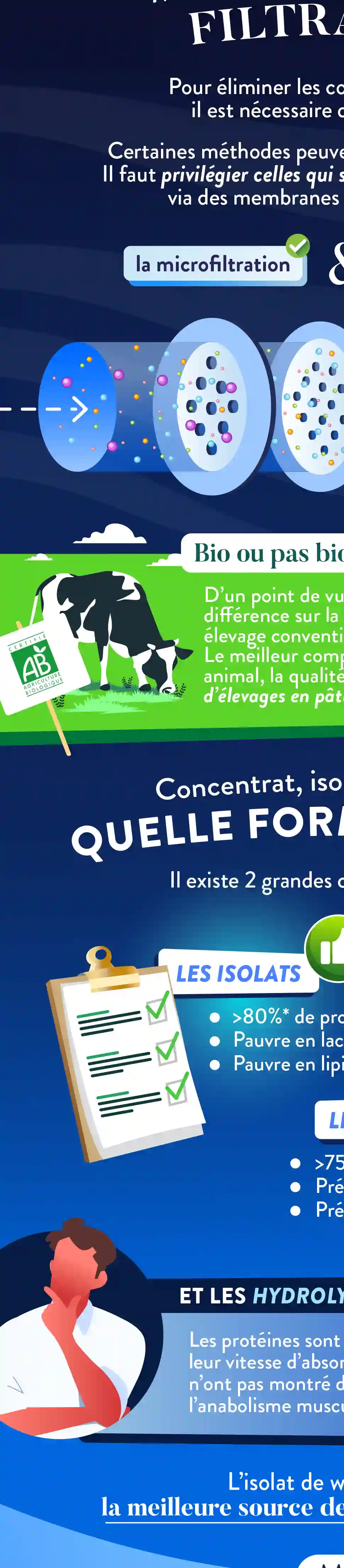 Infographie Droite