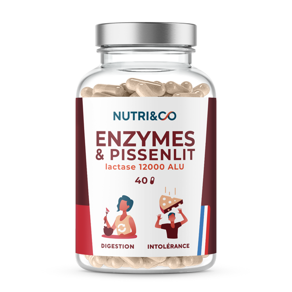 Enzymes & Pissenlit